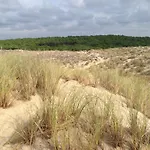 Oceanside Cap-ferret Villa Lège-Cap-Ferret
