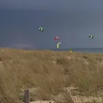 Oceanside Cap-ferret