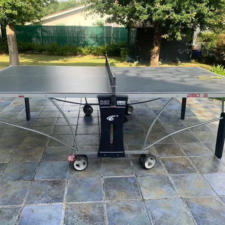 Willa Oceanside Cap-ferret *