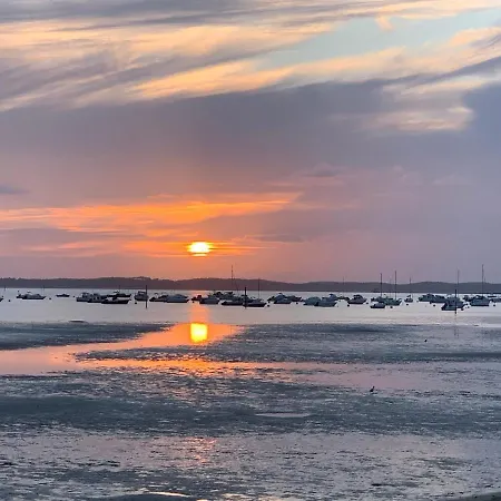 Oceanside Cap-ferret *