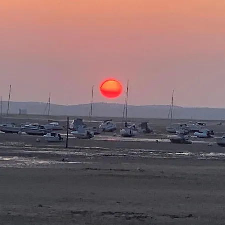 Oceanside Cap-ferret *