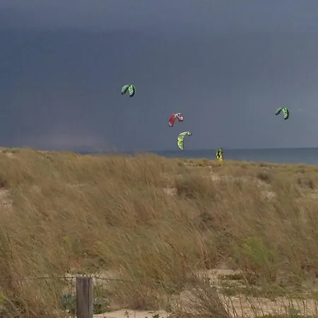 Oceanside Cap-ferret