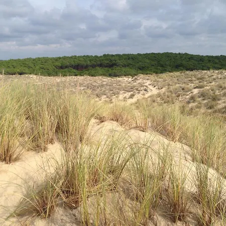 Oceanside Cap-ferret Villa Lège-Cap-Ferret