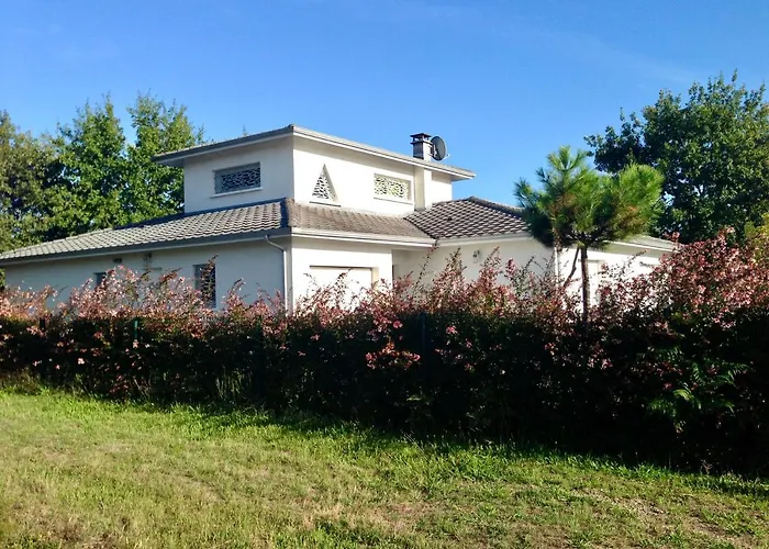 Oceanside Cap-ferret