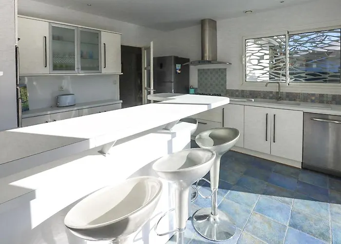 Oceanside Cap-ferret Willa *