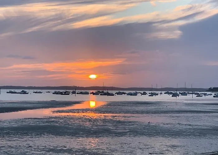 Oceanside Cap-ferret *