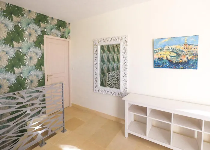 Oceanside Cap-ferret Willa