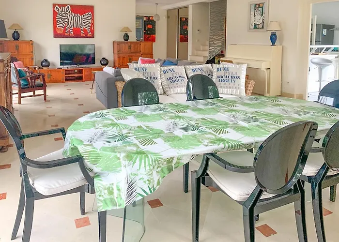 Oceanside Cap-ferret Willa *