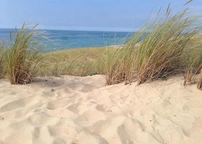 Willa Oceanside Cap-ferret *