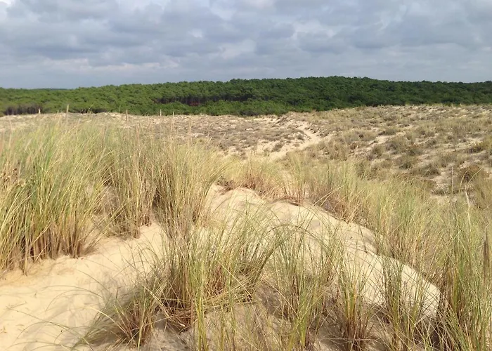 Oceanside Cap-ferret Villa Lège-Cap-Ferret
